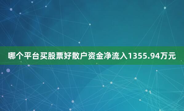 哪个平台买股票好散户资金净流入1355.94万元