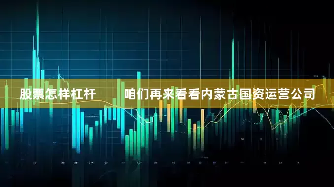 股票怎样杠杆        咱们再来看看内蒙古国资运营公司