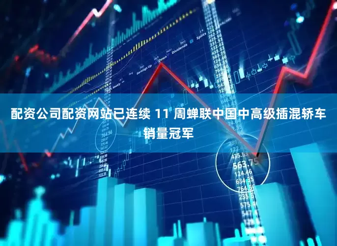 配资公司配资网站已连续 11 周蝉联中国中高级插混轿车销量冠军