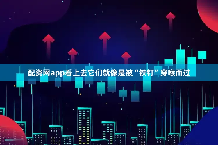 配资网app看上去它们就像是被“铁钉”穿喉而过